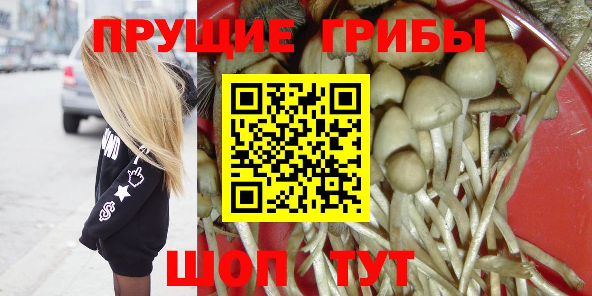 Галлюциногенные грибы MAGIC MUSHROOMS  Псилоцибиновые грибы Magic Shrooms  сколько стоит  Вход с VPN  Рубцовск 